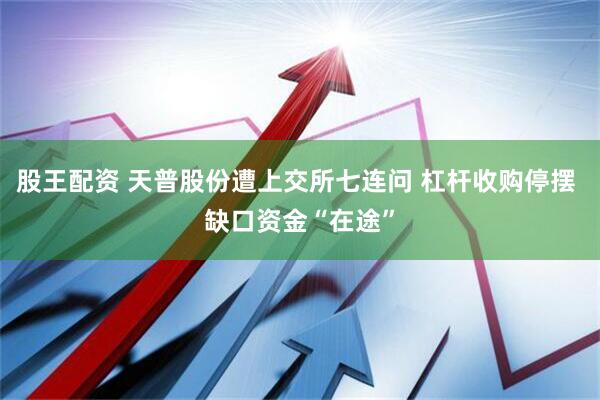 股王配资 天普股份遭上交所七连问 杠杆收购停摆 缺口资金“在途”