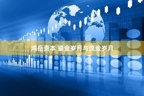 鸿岳资本 鎏金岁月与流金岁月