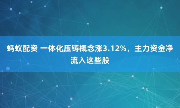 蚂蚁配资 一体化压铸概念涨3.12%，主力资金净流入这些股
