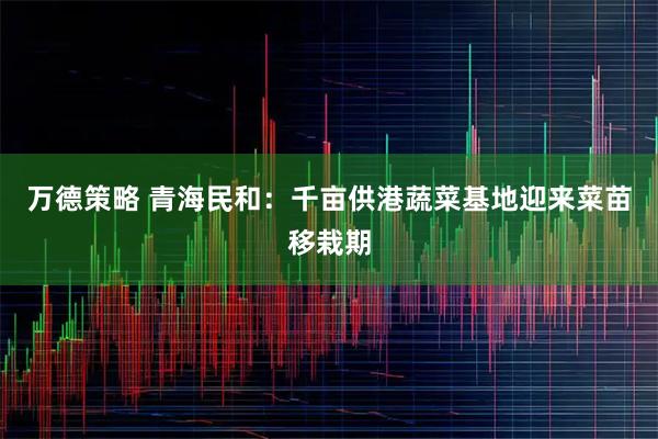 万德策略 青海民和：千亩供港蔬菜基地迎来菜苗移栽期