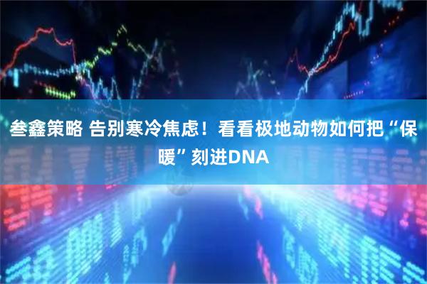 叁鑫策略 告别寒冷焦虑！看看极地动物如何把“保暖”刻进DNA