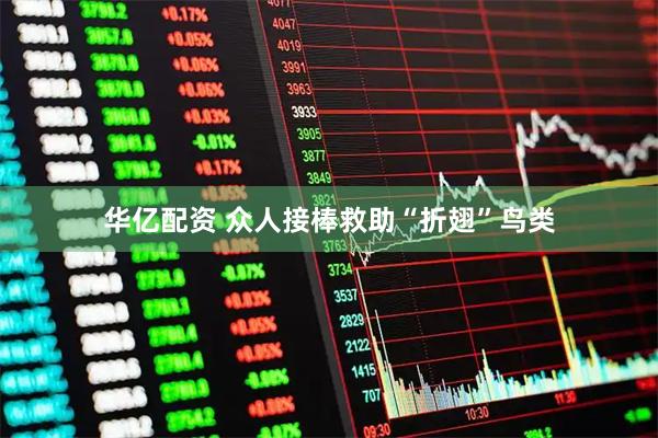 华亿配资 众人接棒救助“折翅”鸟类