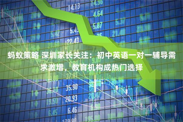 蚂蚁策略 深圳家长关注：初中英语一对一辅导需求激增，教育机构成热门选择