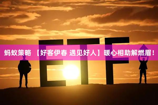 蚂蚁策略 【好客伊春 遇见好人】暖心相助解燃眉！