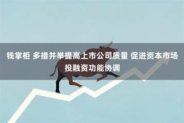 钱掌柜 多措并举提高上市公司质量 促进资本市场投融资功能协调